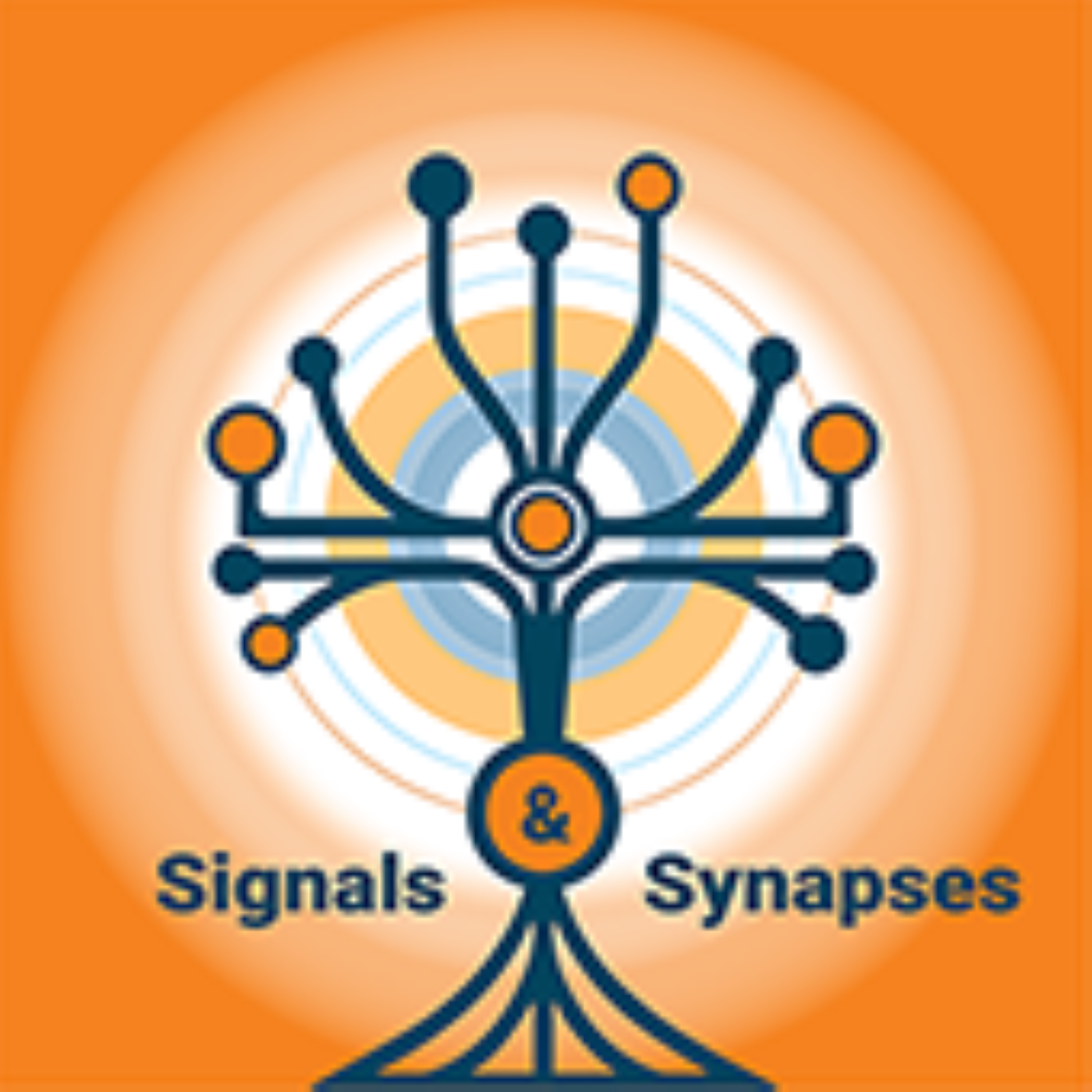 Tuned In: The Rhythms of the Brain